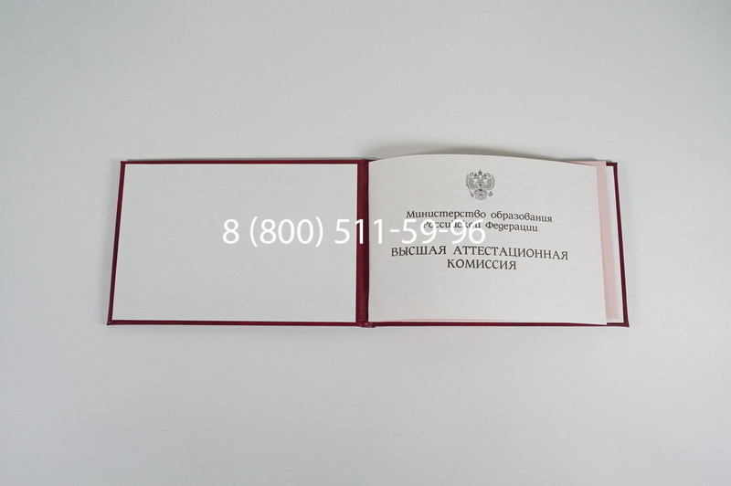 Диплом доктора наук 1995-2006 года в Чебоксарах Диплом доктора наук 1995-2006 года в Чебоксарах