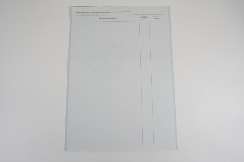 Диплом о начальном образовании 2007-2009 годов в Чебоксарах Диплом о начальном образовании 2007-2009 годов в Чебоксарах